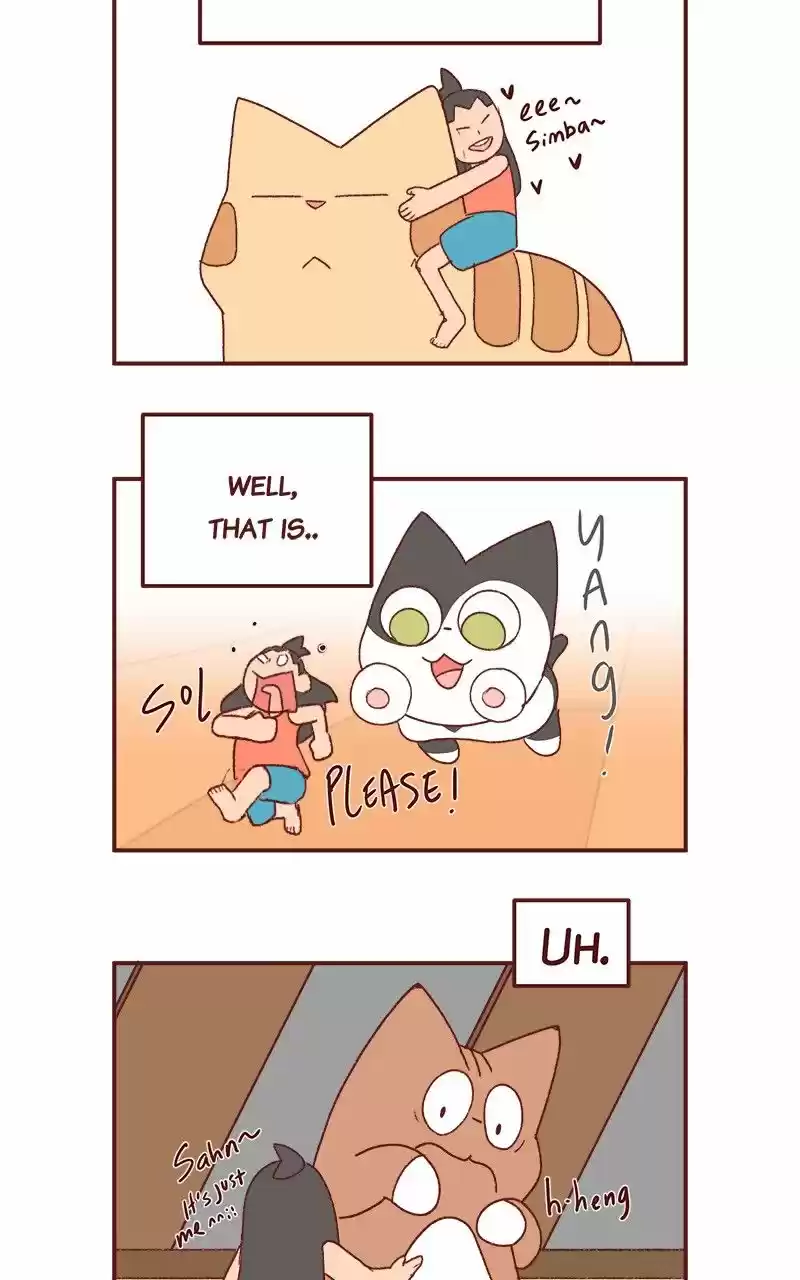 Saphie: The One-Eyed Cat 238