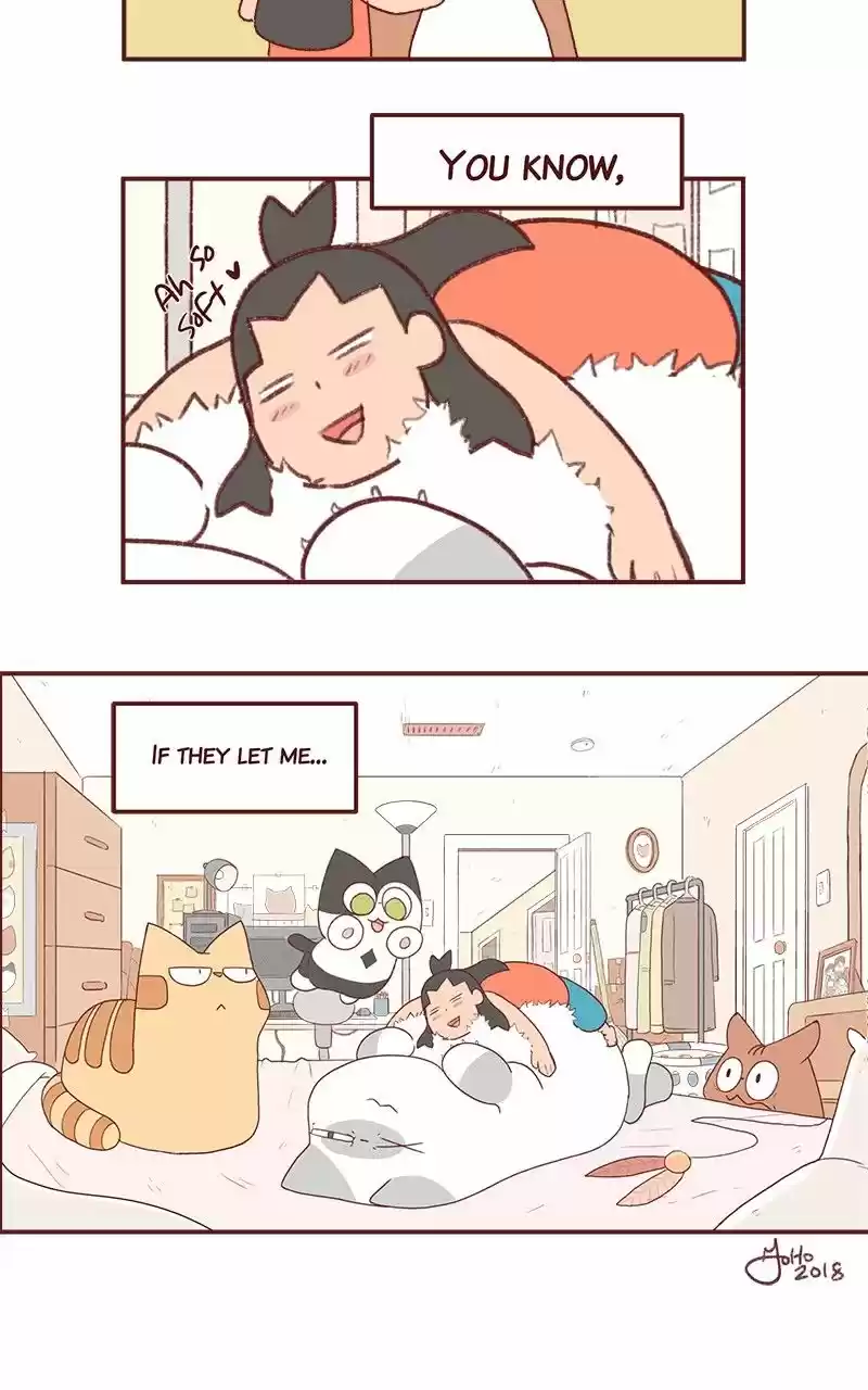 Saphie: The One-Eyed Cat 238