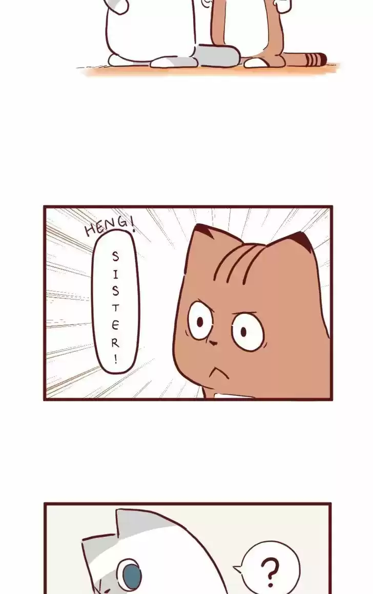 Saphie: The One-Eyed Cat 24