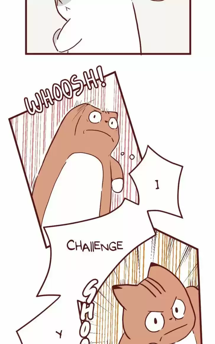 Saphie: The One-Eyed Cat 24