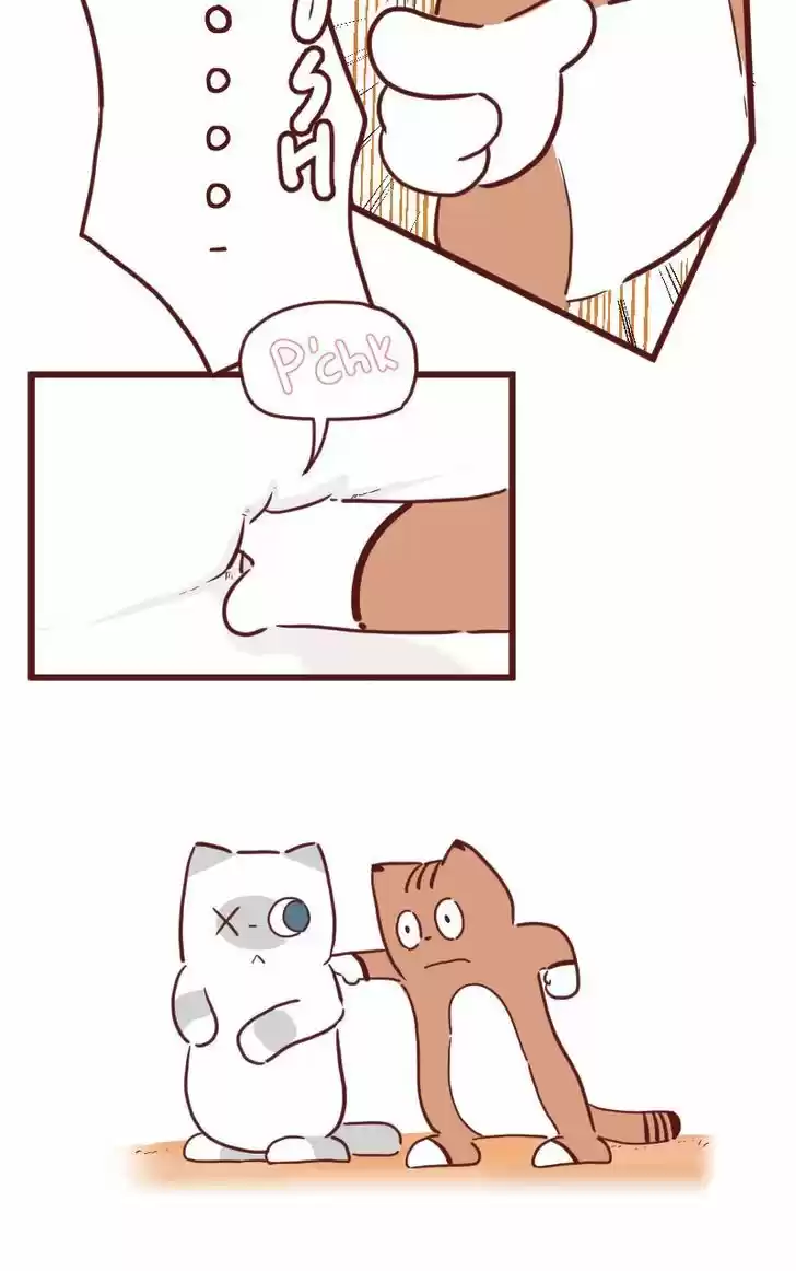 Saphie: The One-Eyed Cat 24