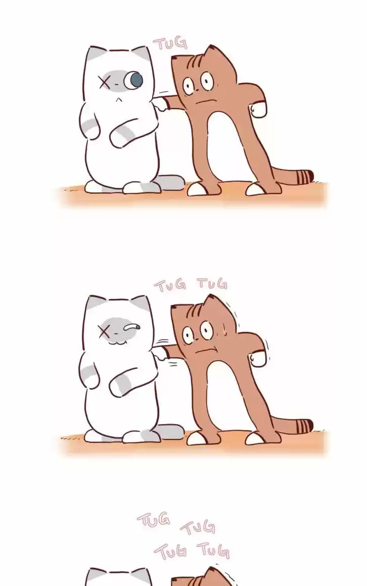 Saphie: The One-Eyed Cat 24