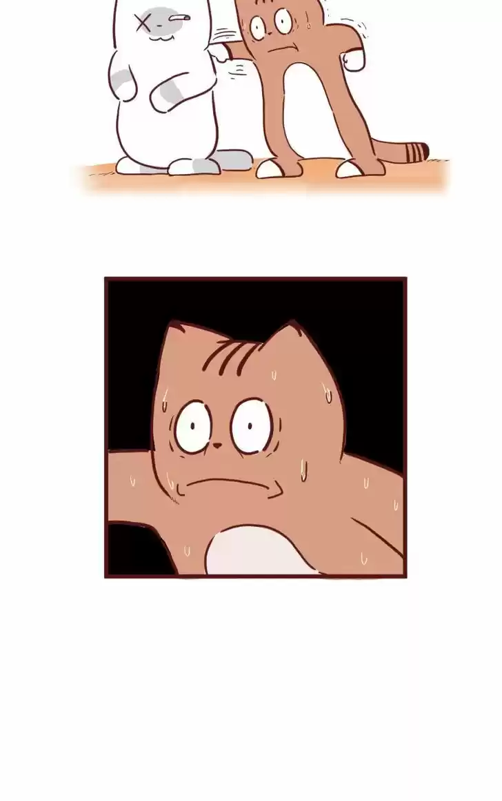 Saphie: The One-Eyed Cat 24