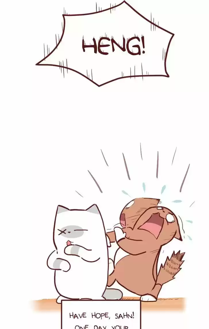 Saphie: The One-Eyed Cat 24