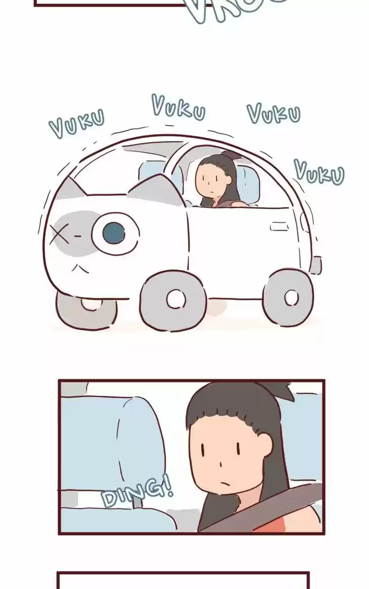 Saphie: The One-Eyed Cat 26