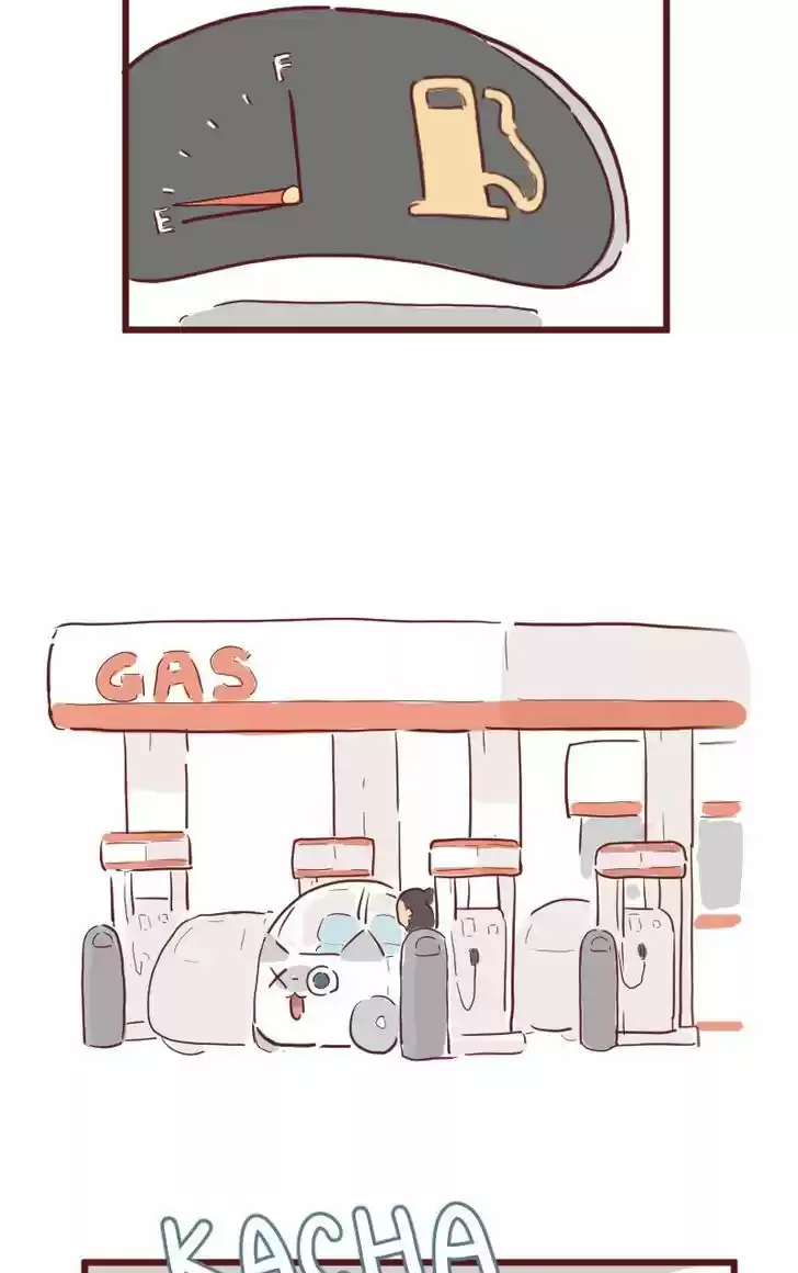 Saphie: The One-Eyed Cat 26