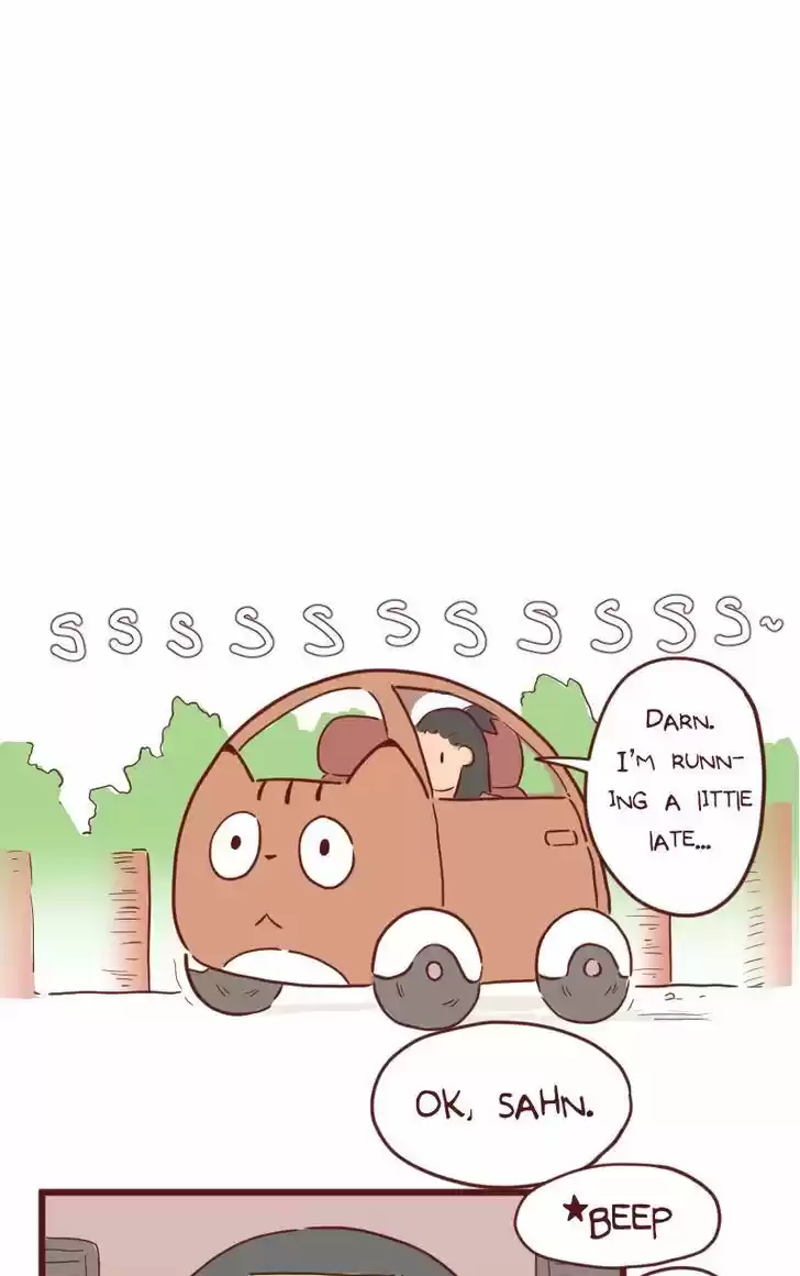 Saphie: The One-Eyed Cat 26