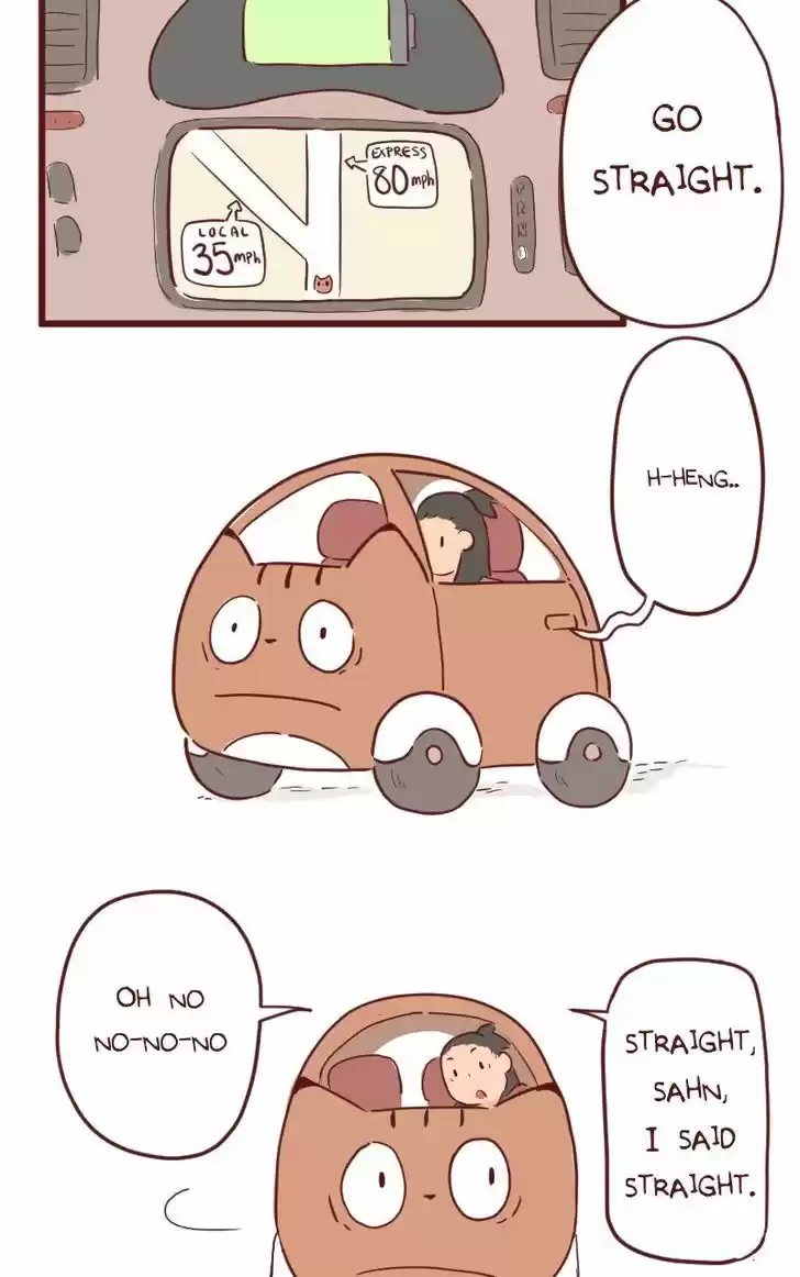 Saphie: The One-Eyed Cat 26