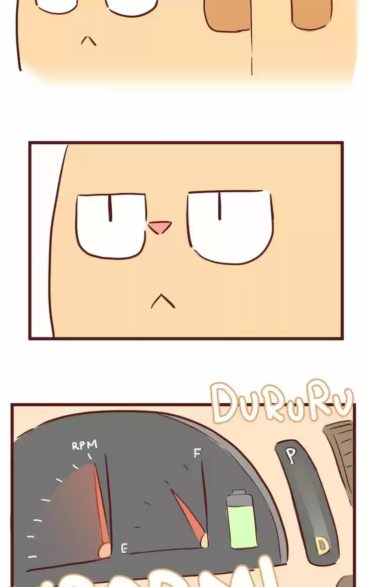 Saphie: The One-Eyed Cat 26