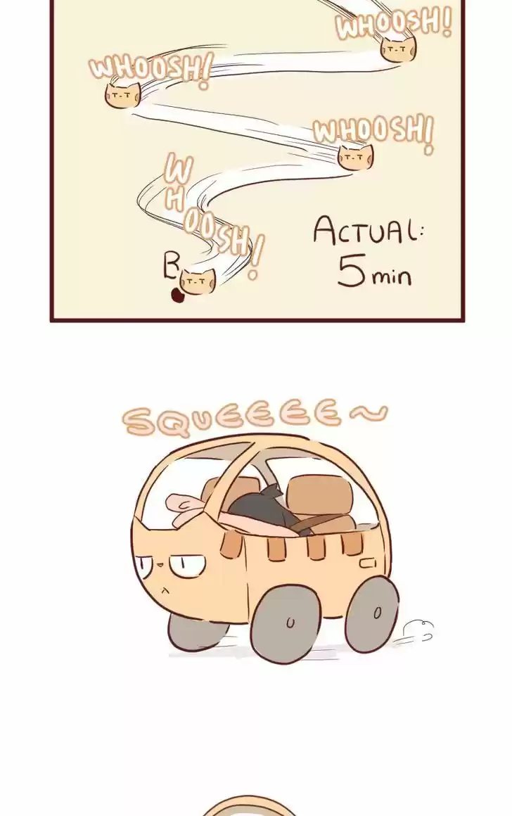 Saphie: The One-Eyed Cat 26