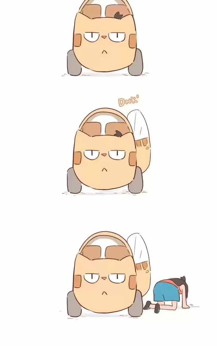 Saphie: The One-Eyed Cat 26