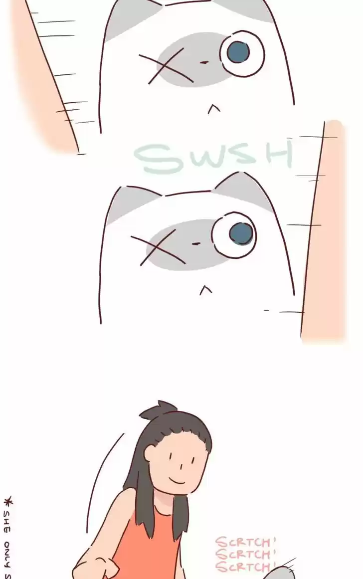 Saphie: The One-Eyed Cat 27