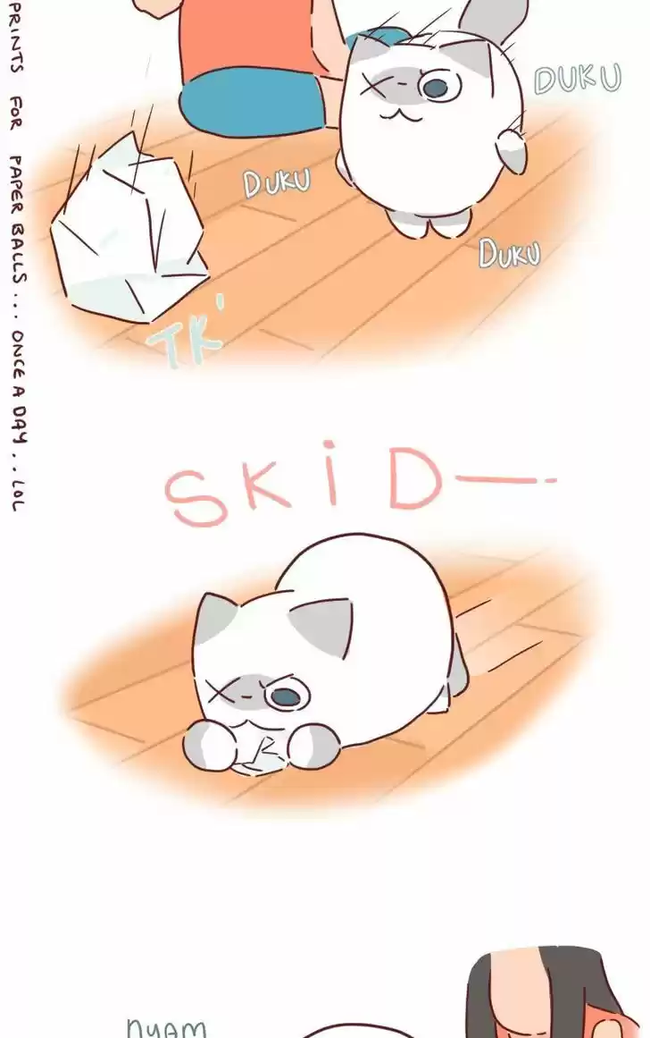 Saphie: The One-Eyed Cat 27