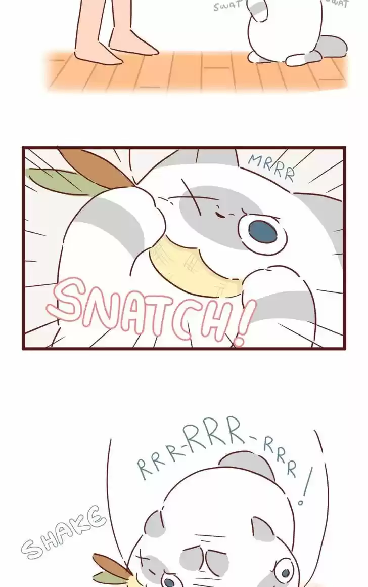 Saphie: The One-Eyed Cat 27