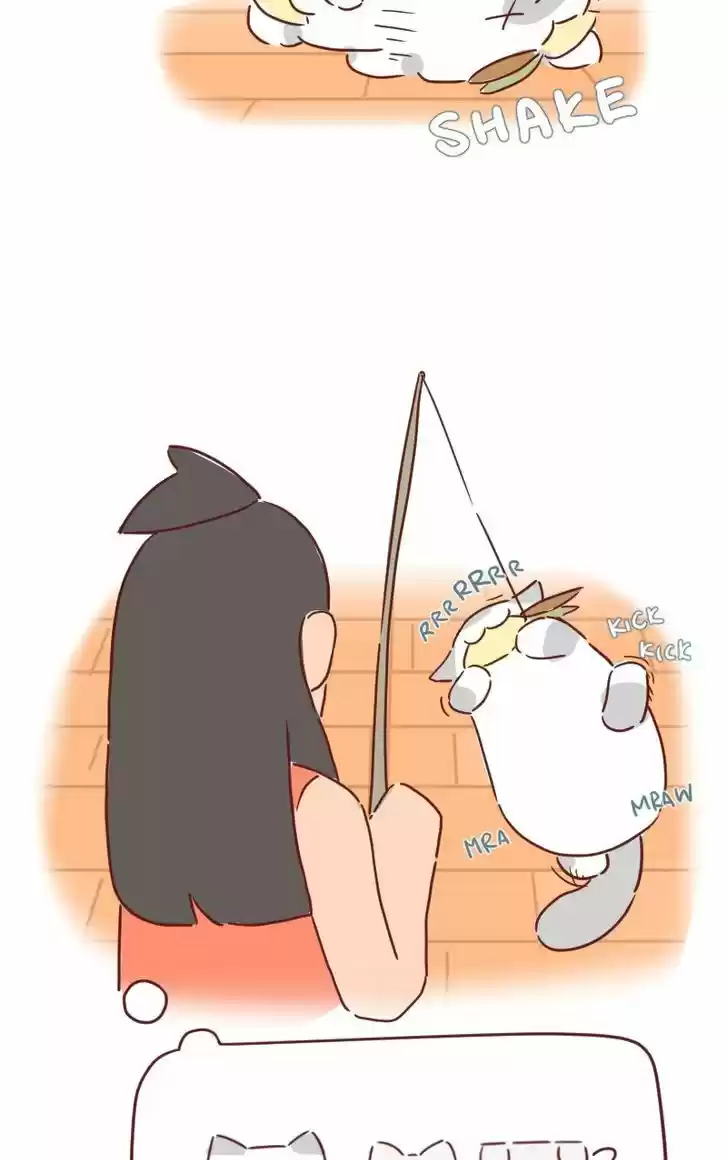 Saphie: The One-Eyed Cat 27