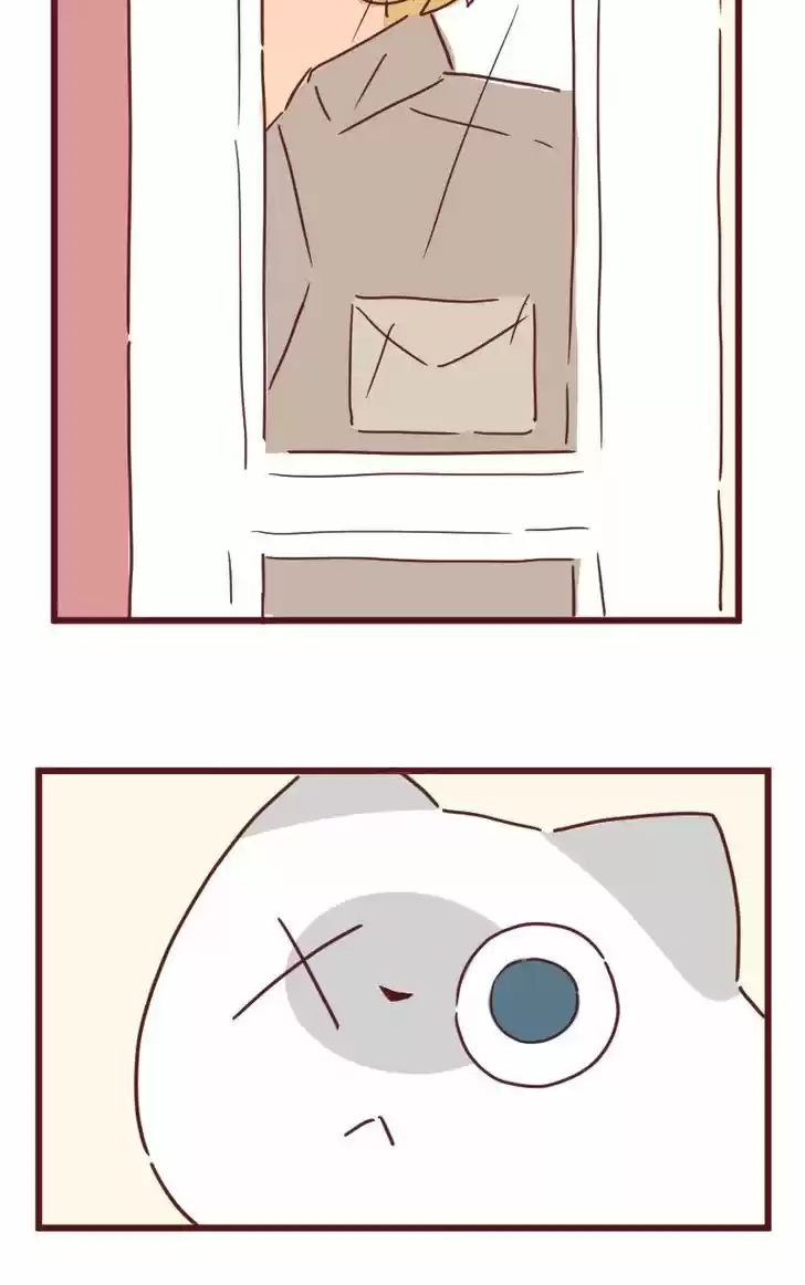 Saphie: The One-Eyed Cat 27