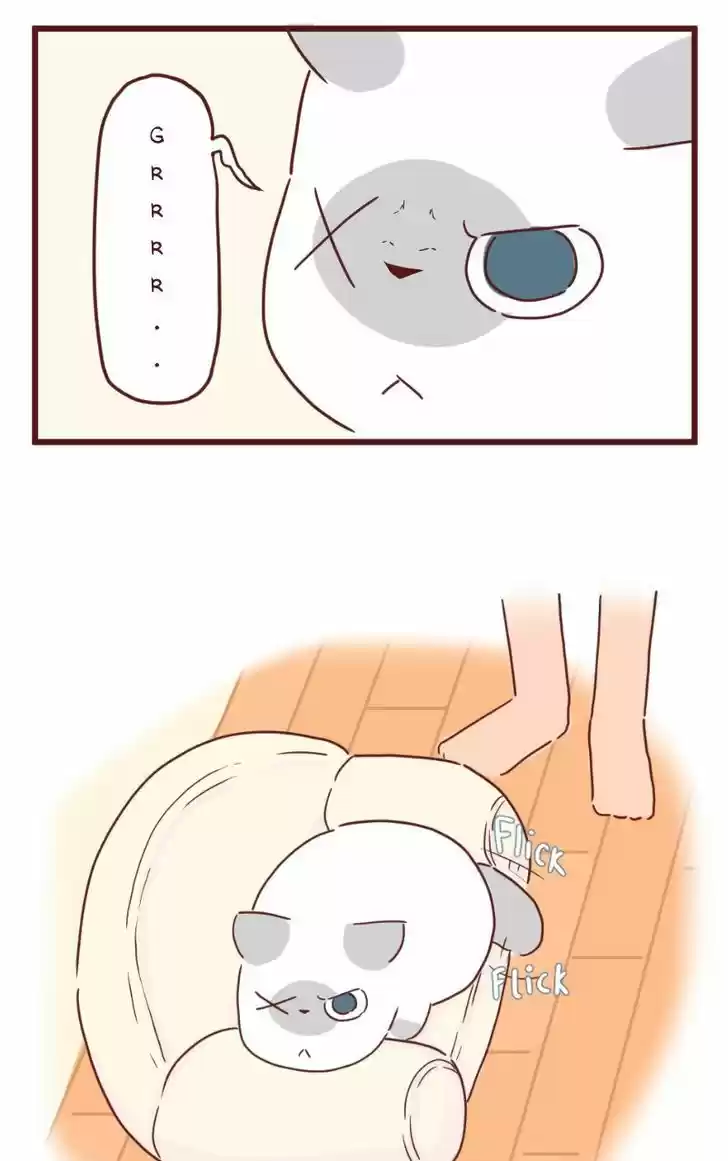 Saphie: The One-Eyed Cat 27