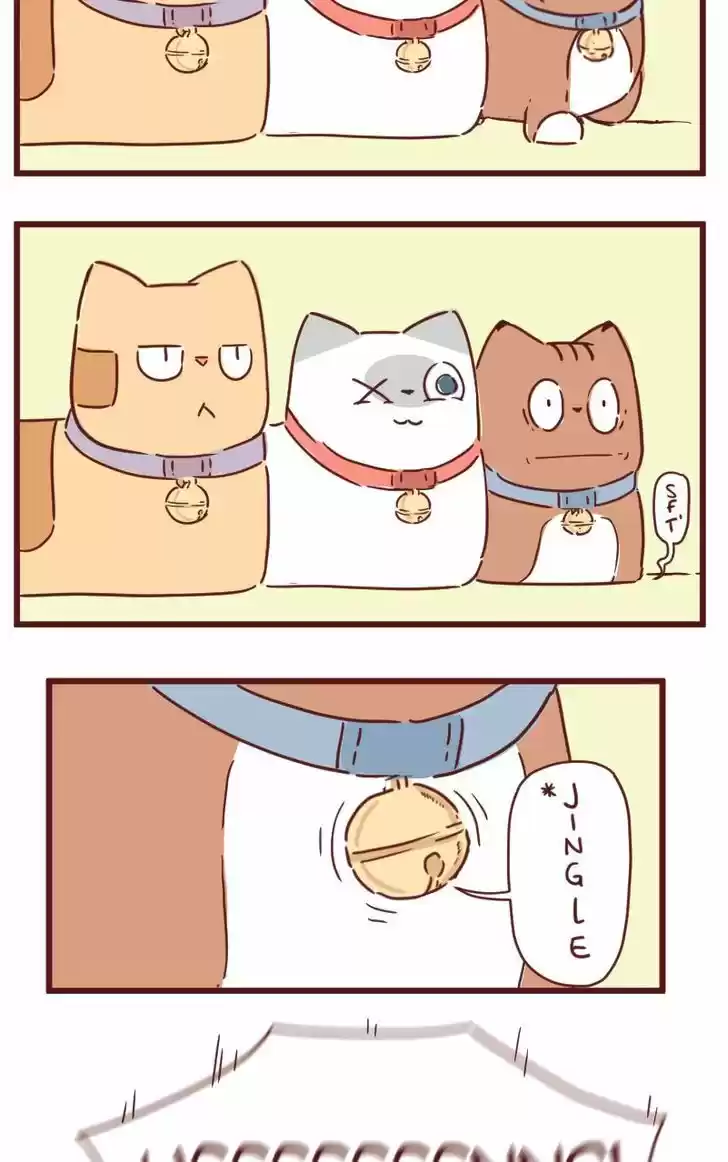 Saphie: The One-Eyed Cat 28