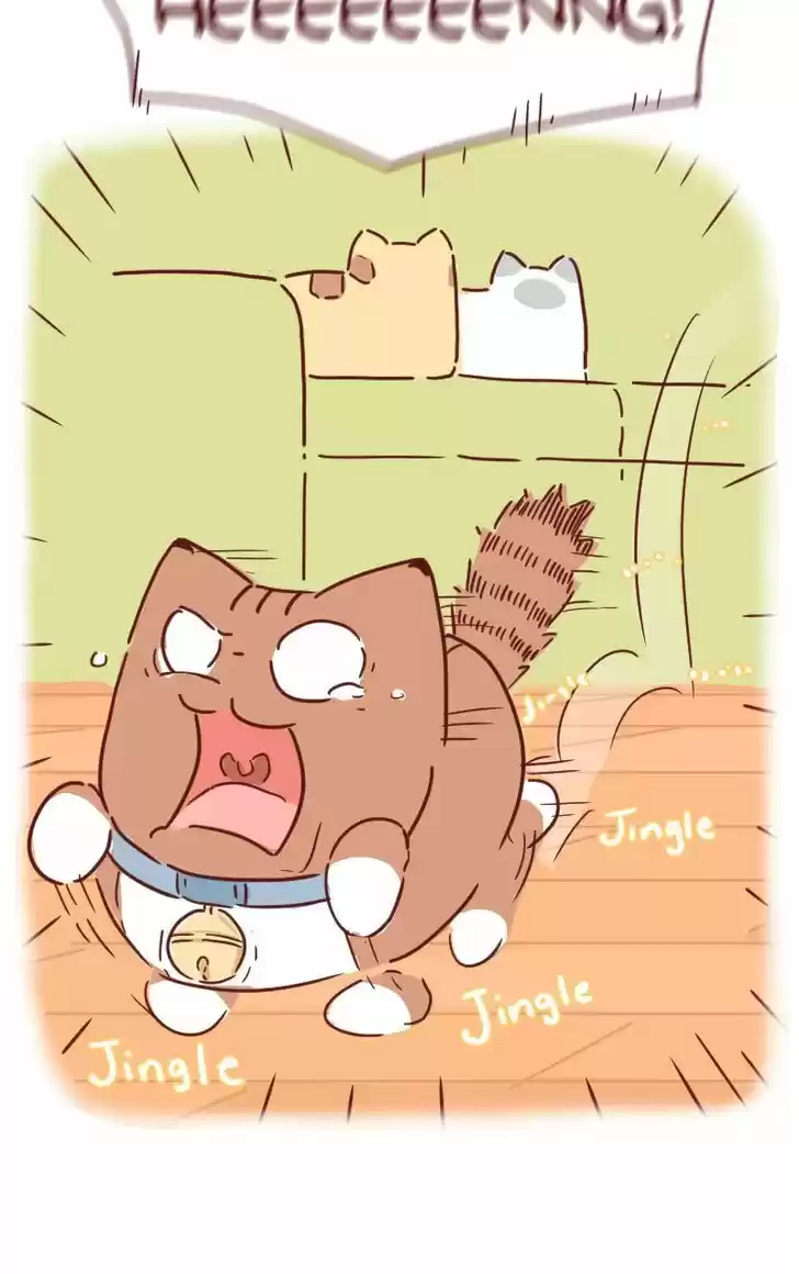 Saphie: The One-Eyed Cat 28