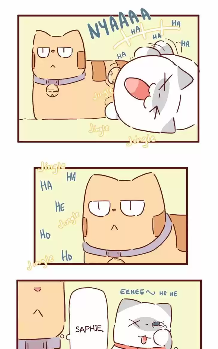 Saphie: The One-Eyed Cat 28