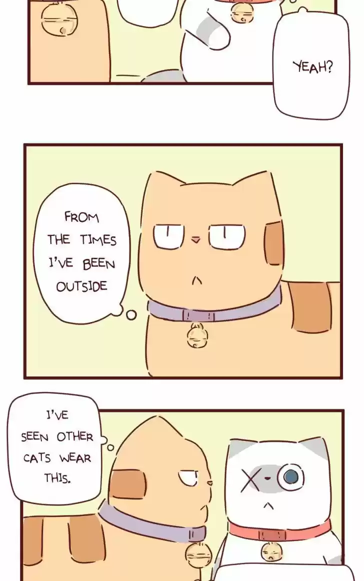 Saphie: The One-Eyed Cat 28