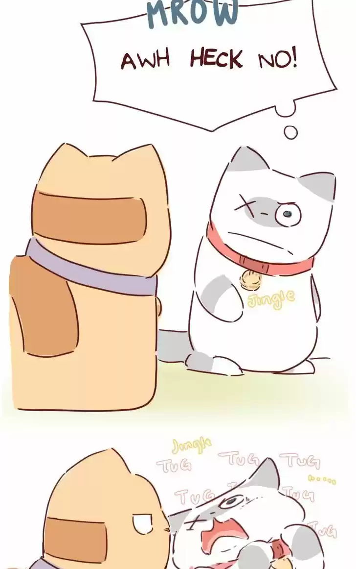 Saphie: The One-Eyed Cat 28