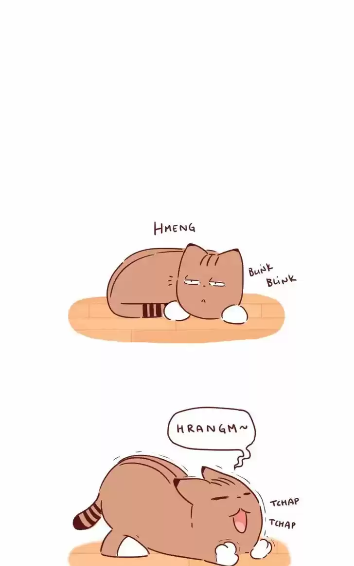 Saphie: The One-Eyed Cat 29