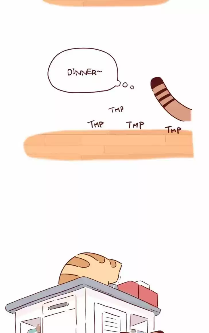 Saphie: The One-Eyed Cat 29