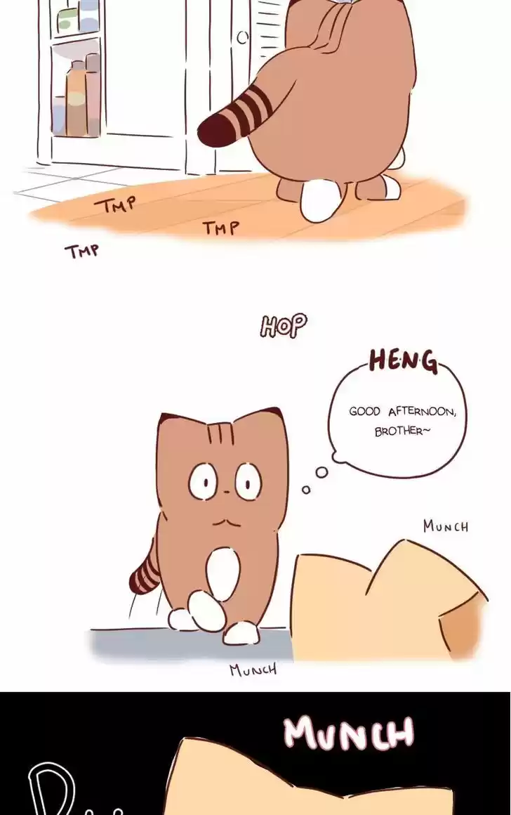 Saphie: The One-Eyed Cat 29