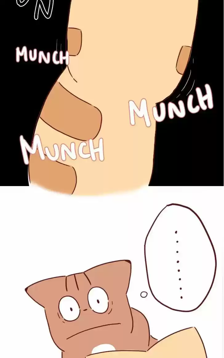 Saphie: The One-Eyed Cat 29