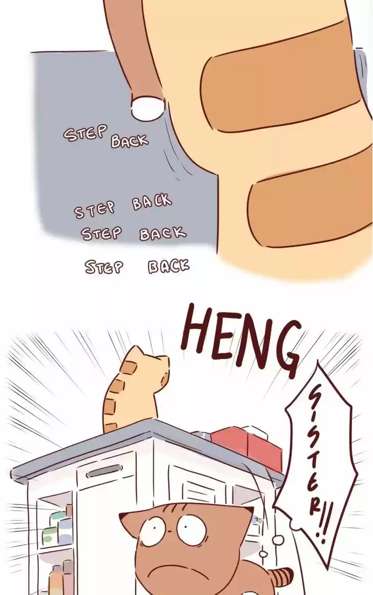 Saphie: The One-Eyed Cat 29