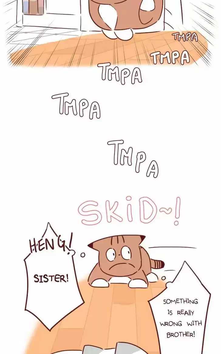 Saphie: The One-Eyed Cat 29