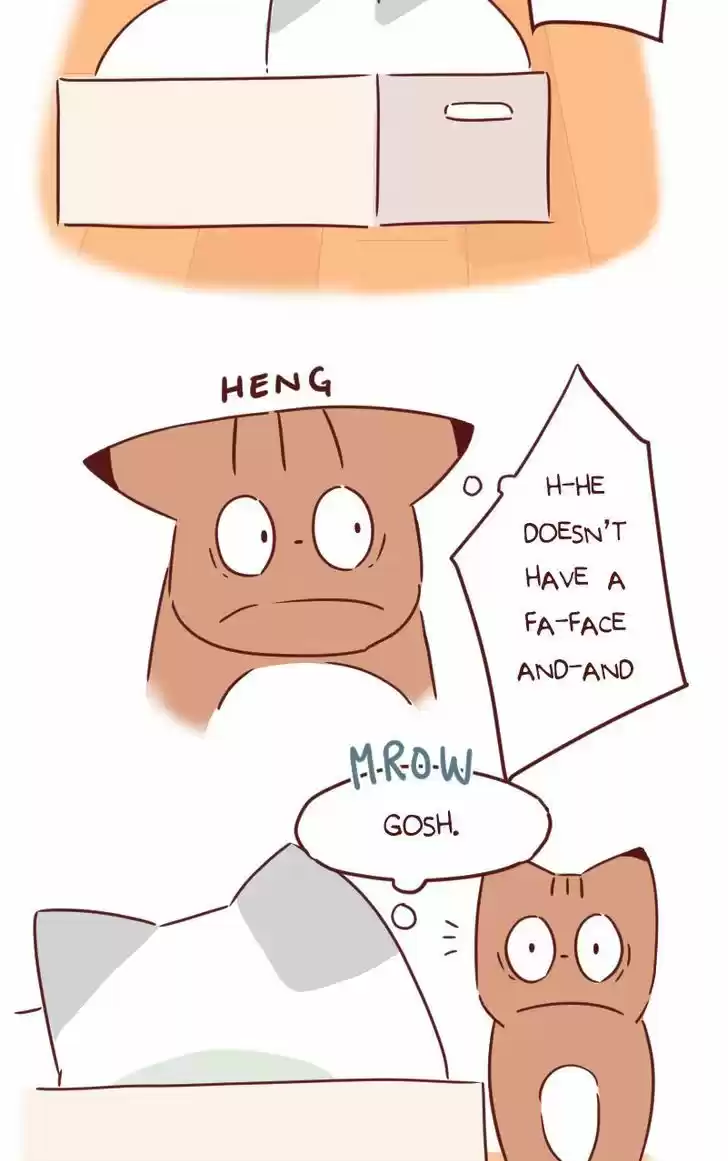 Saphie: The One-Eyed Cat 29