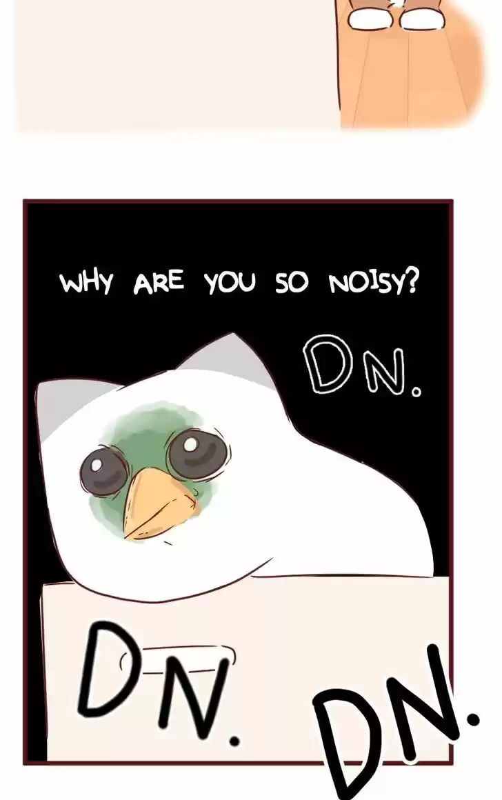 Saphie: The One-Eyed Cat 29