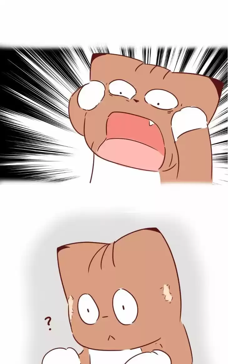 Saphie: The One-Eyed Cat 29