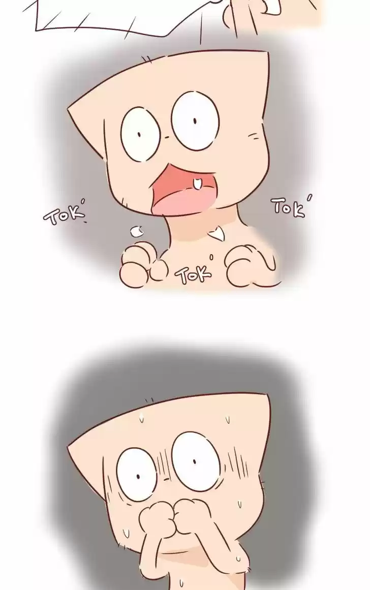 Saphie: The One-Eyed Cat 29