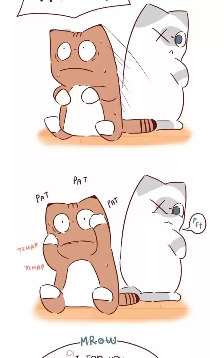 Saphie: The One-Eyed Cat 29