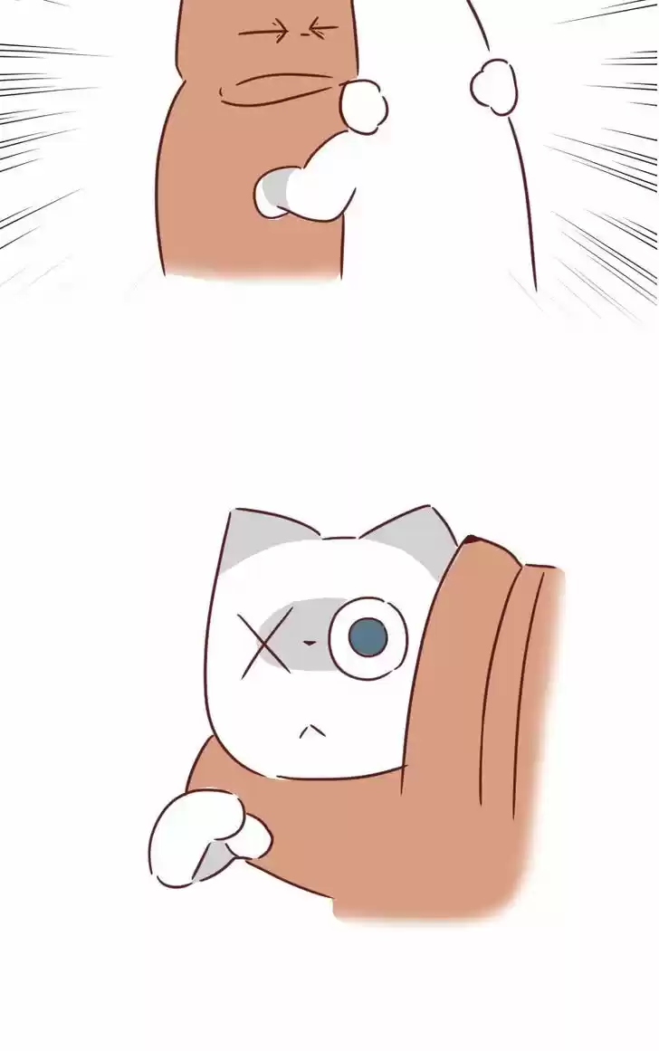 Saphie: The One-Eyed Cat 29