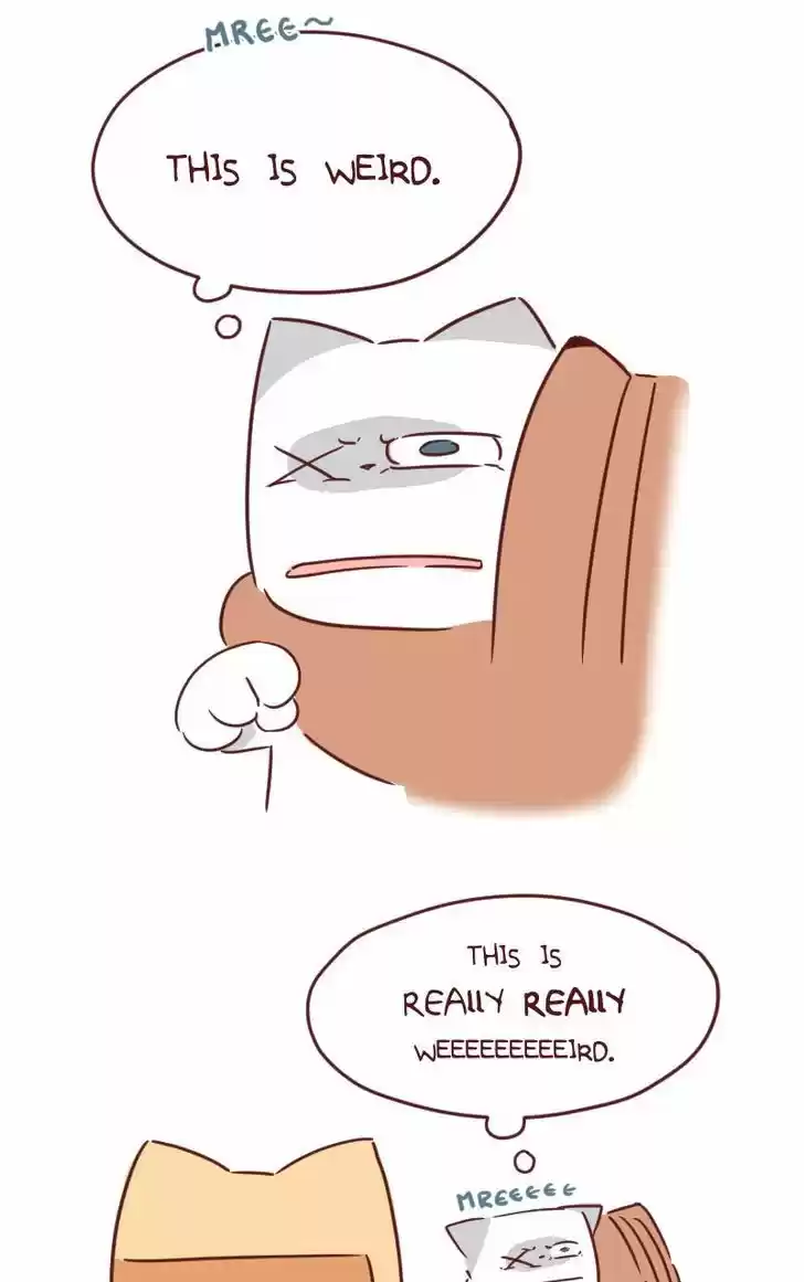 Saphie: The One-Eyed Cat 29