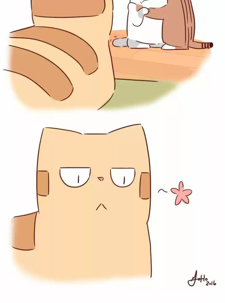 Saphie: The One-Eyed Cat 29