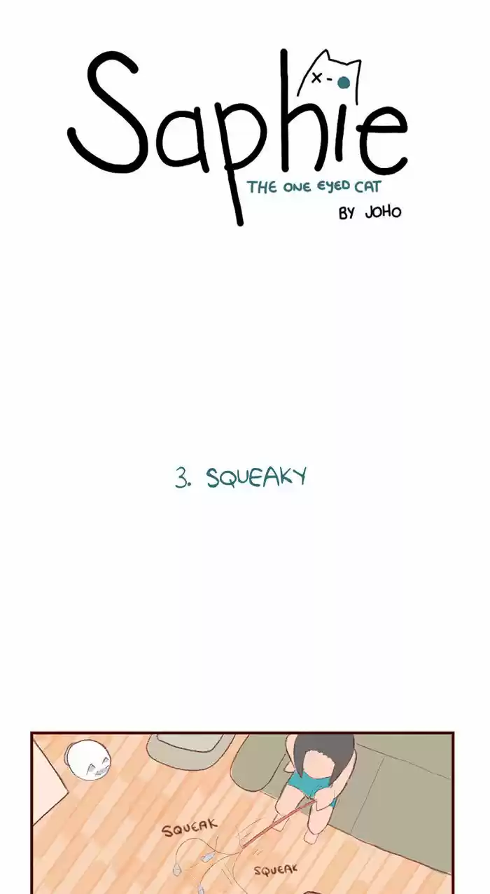 Saphie: The One-Eyed Cat 3