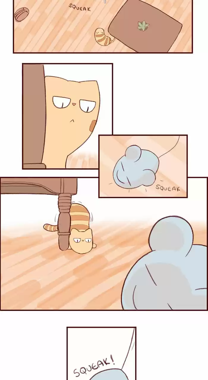 Saphie: The One-Eyed Cat 3