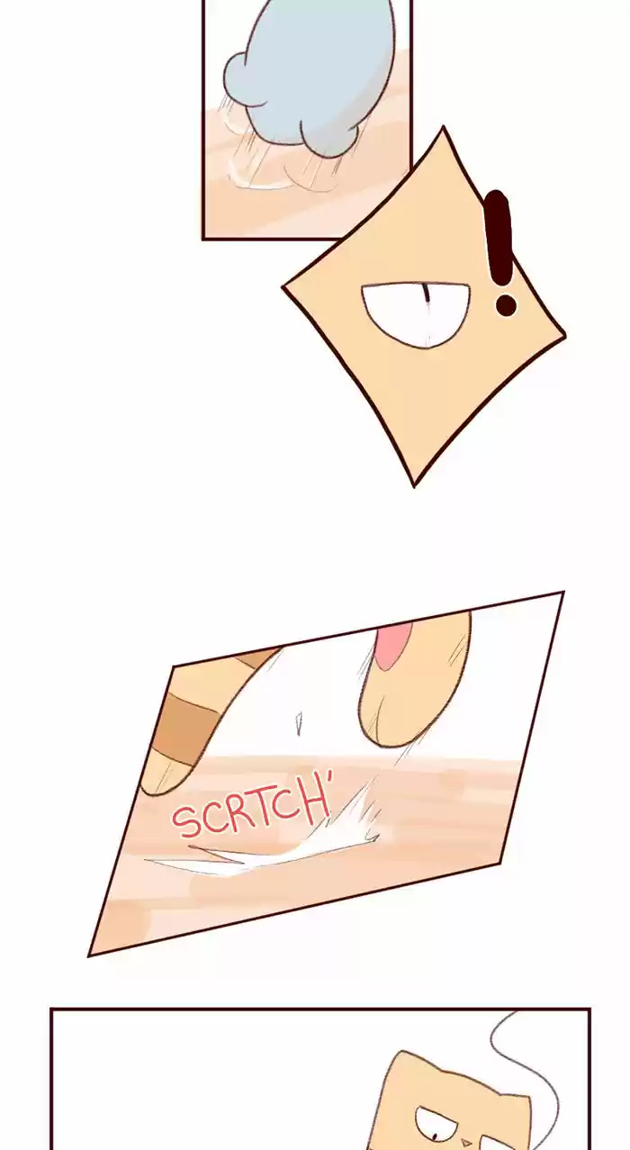 Saphie: The One-Eyed Cat 3