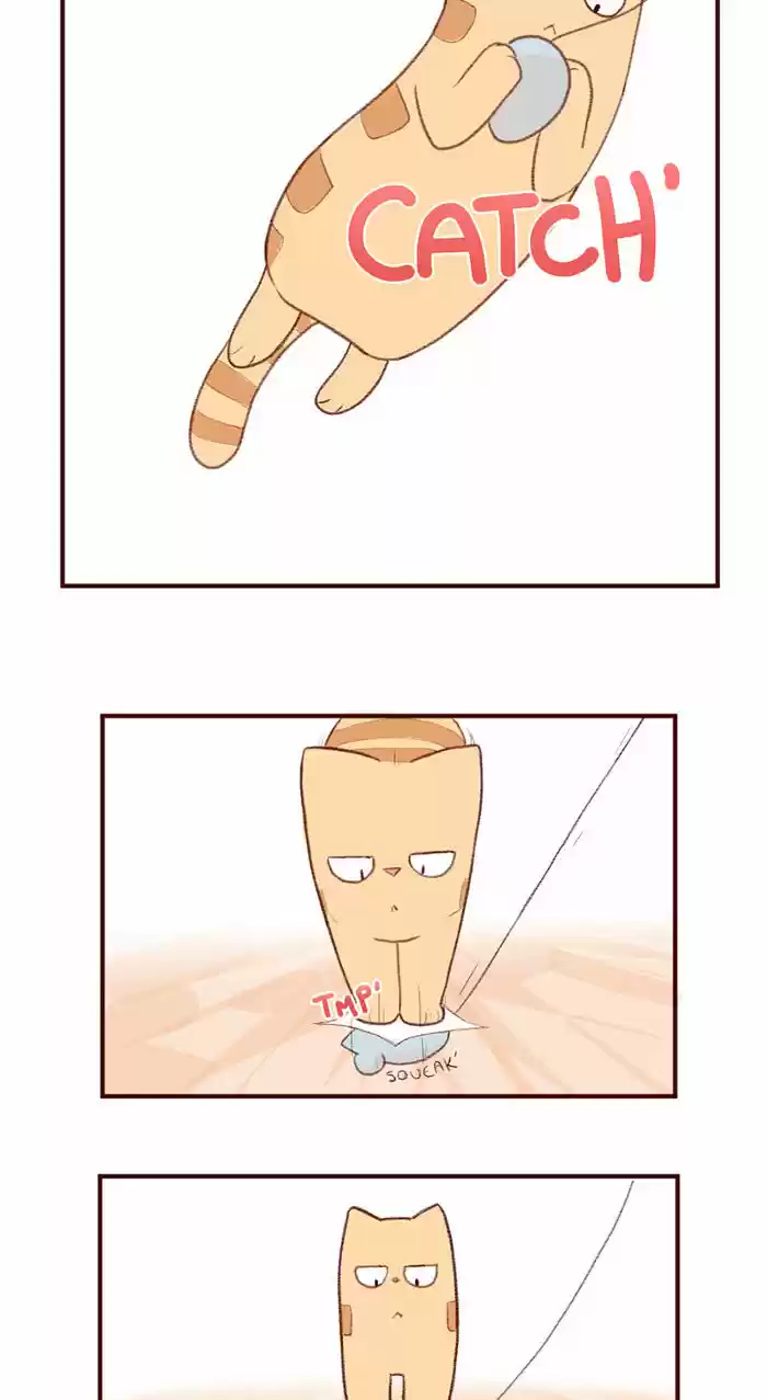 Saphie: The One-Eyed Cat 3