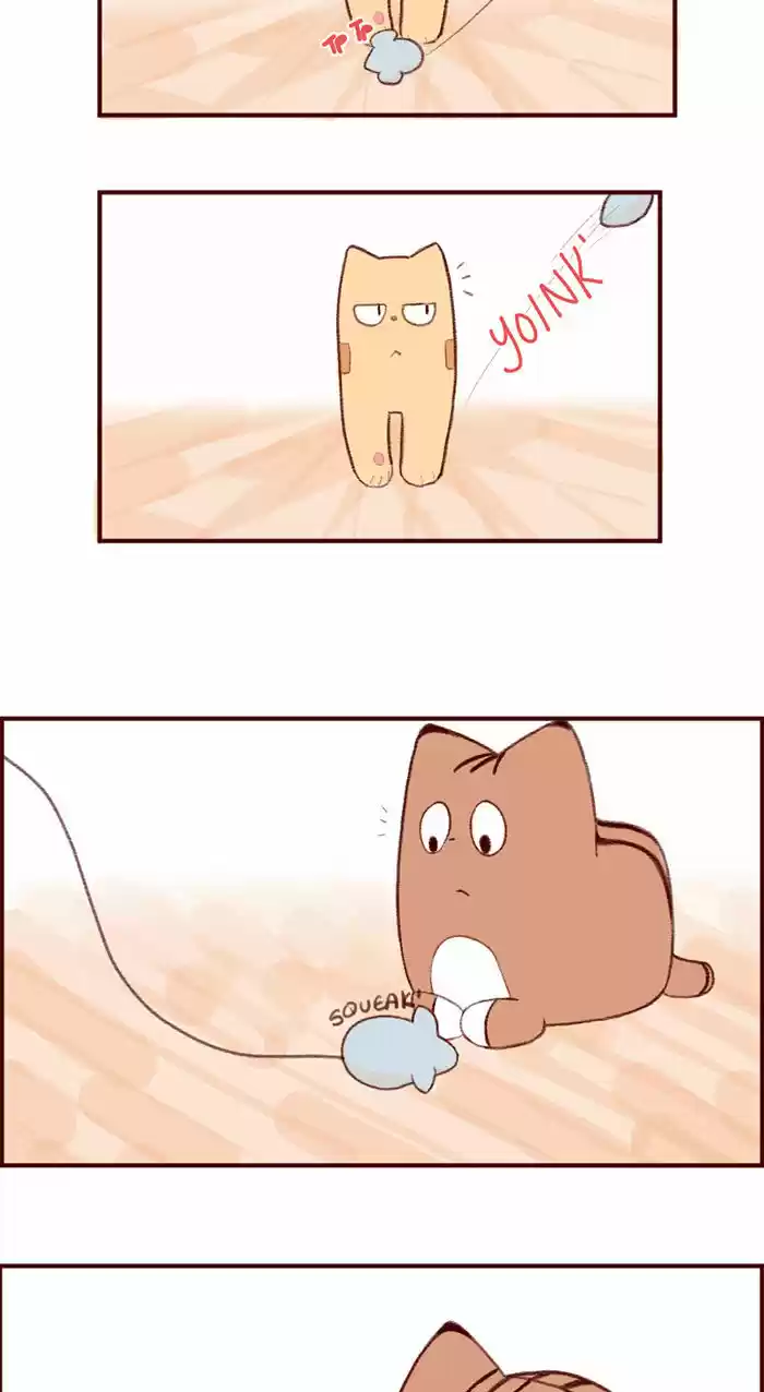 Saphie: The One-Eyed Cat 3