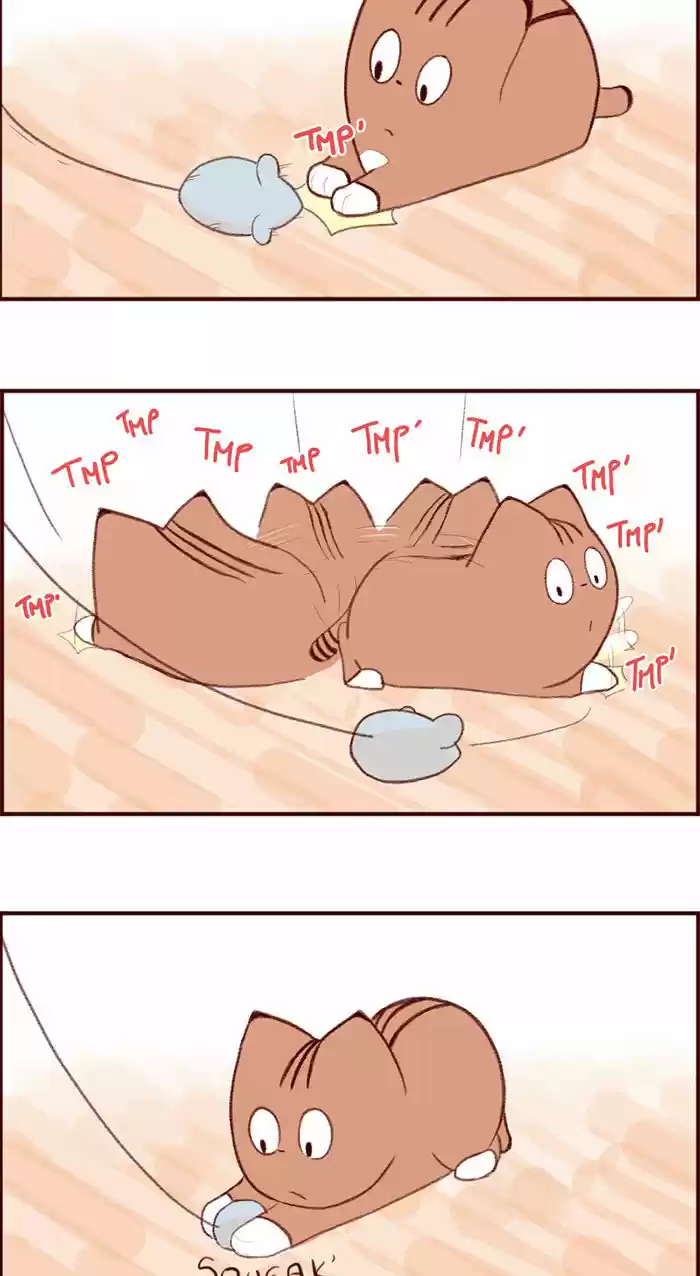 Saphie: The One-Eyed Cat 3