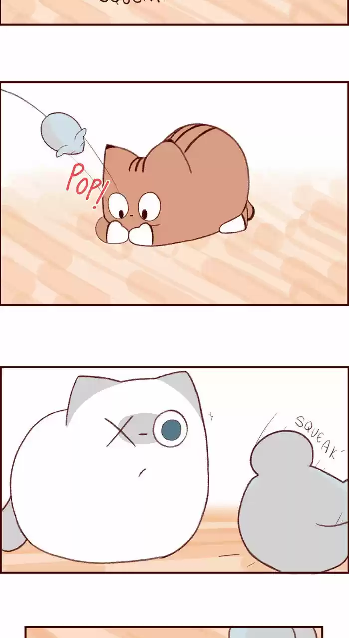 Saphie: The One-Eyed Cat 3