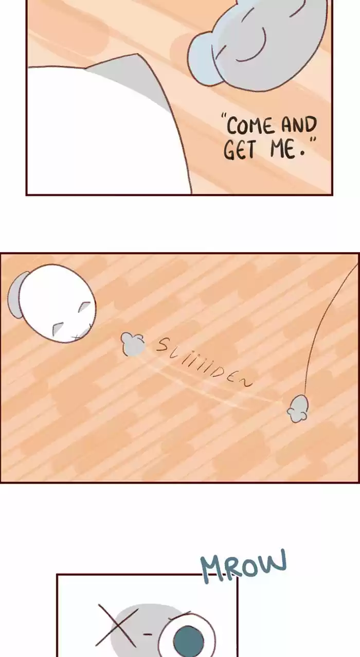 Saphie: The One-Eyed Cat 3