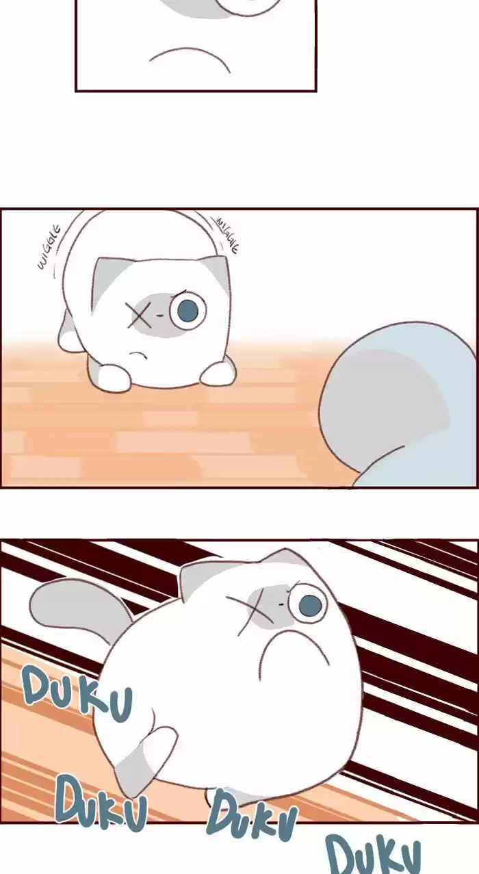 Saphie: The One-Eyed Cat 3