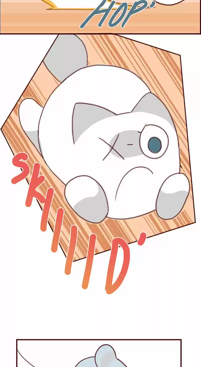 Saphie: The One-Eyed Cat 3